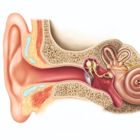 Når høreapparatet følger din opmærksomhed