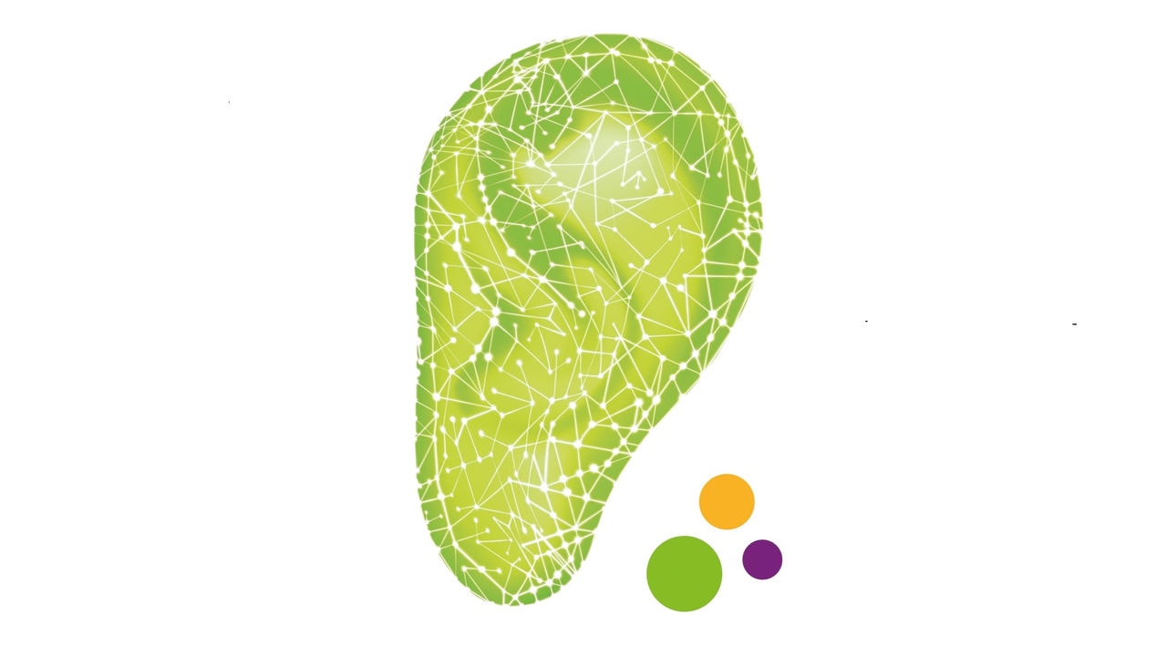 II Simposio Internacional de Audiología Phonak
