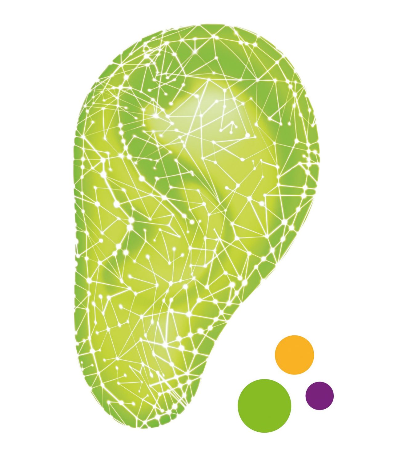 II Simposio Internacional de Audiología Phonak