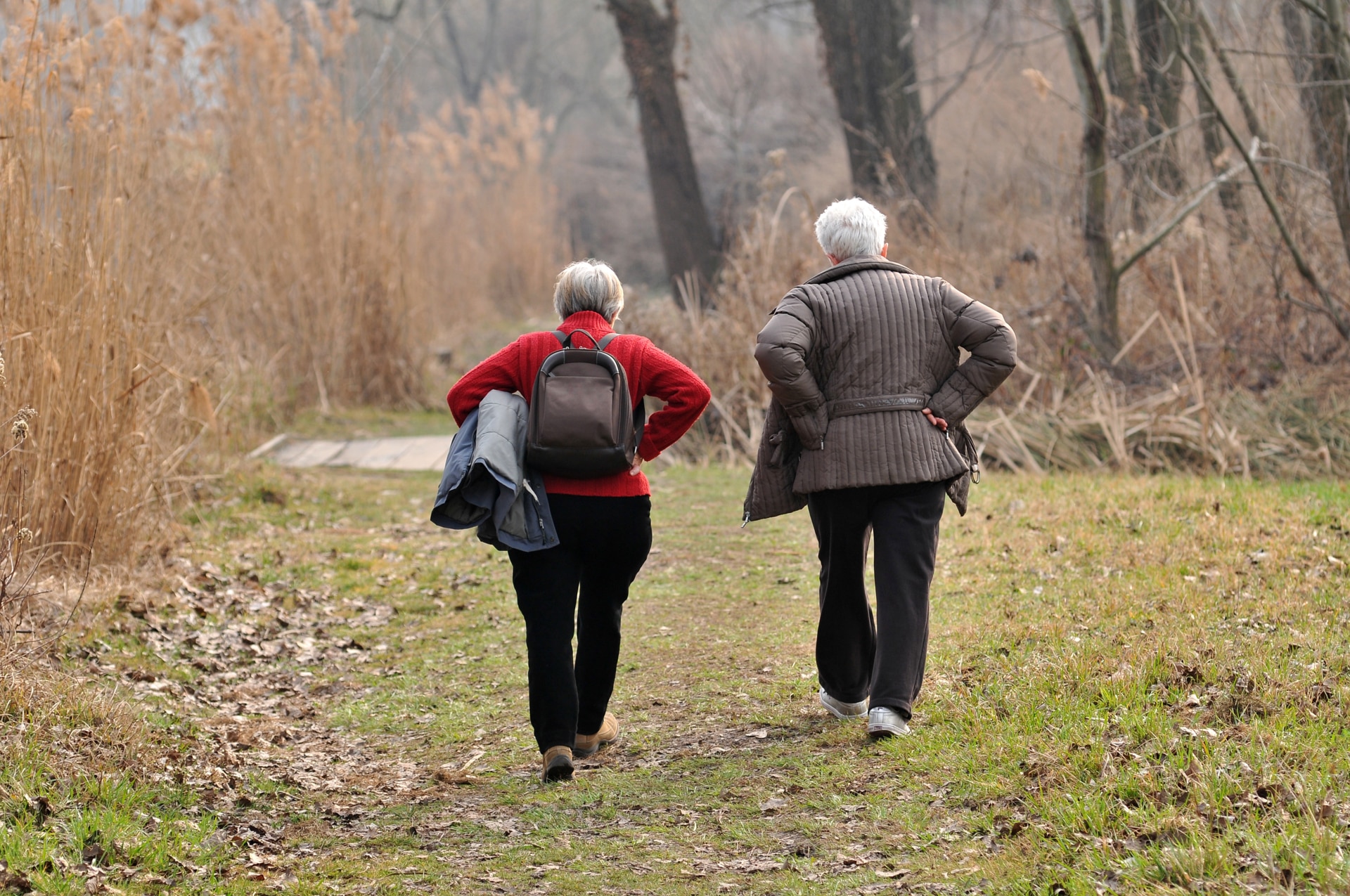 Anziani in passeggiata