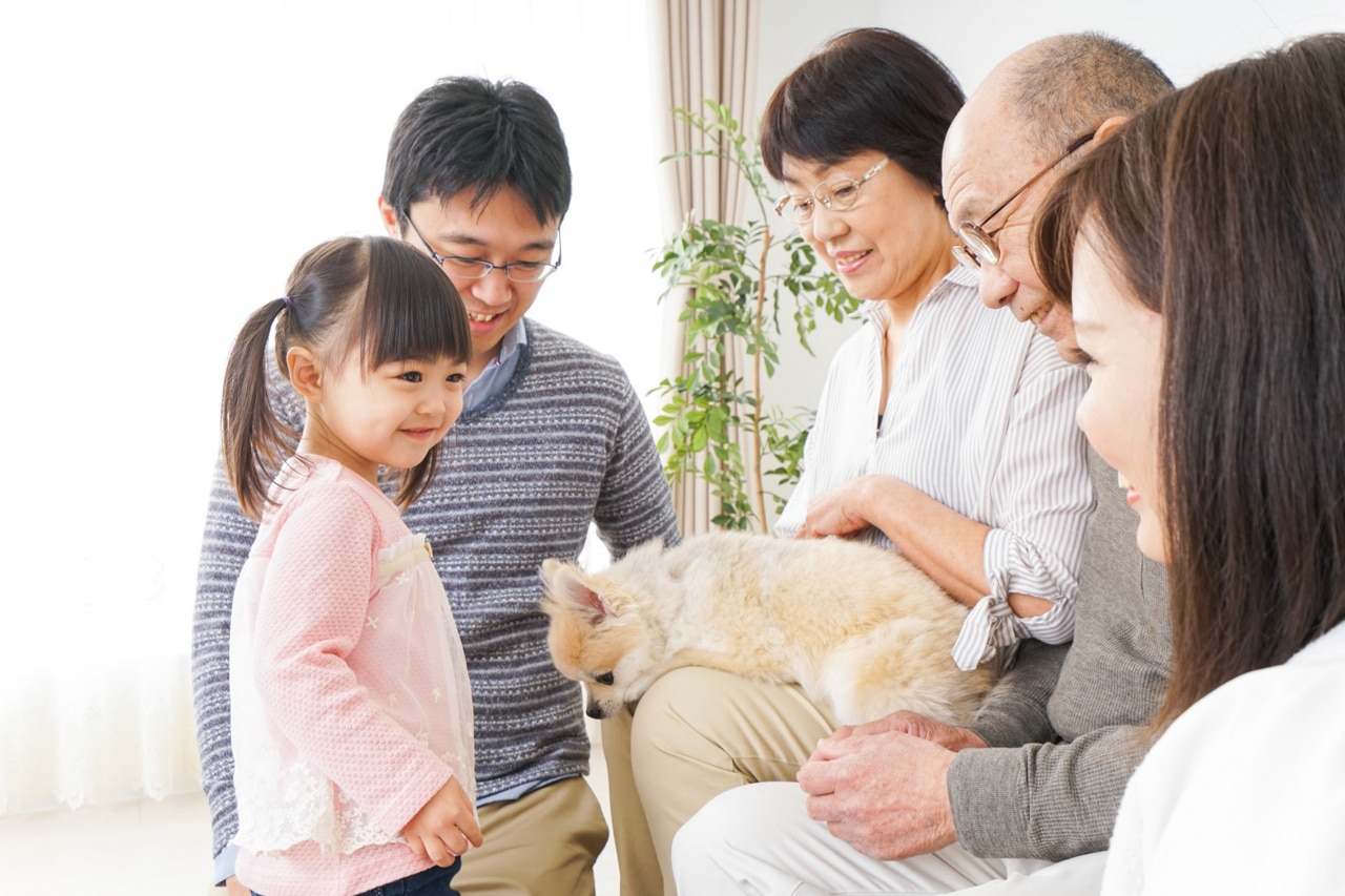Three-generation family taking care of dog