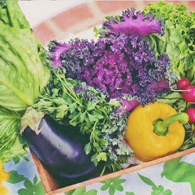 Hörsel och hälsa hör ihop – Del 2