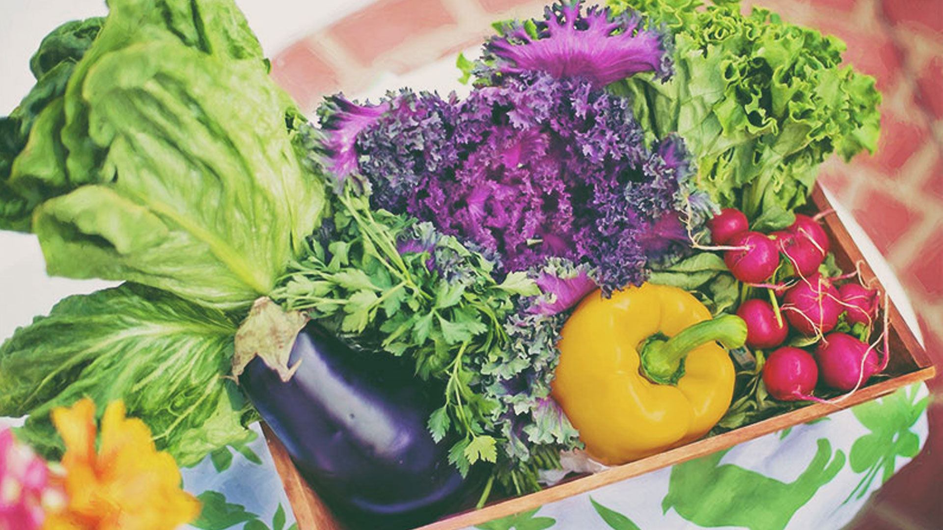 Hörsel och hälsa hör ihop – Del 2