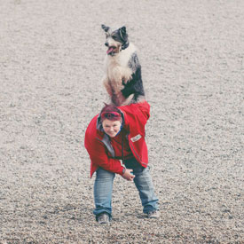 Med hundarna kan Marianne erövra världen