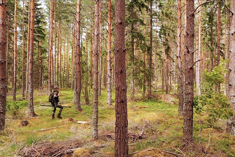 Hästtjejen blir jägare