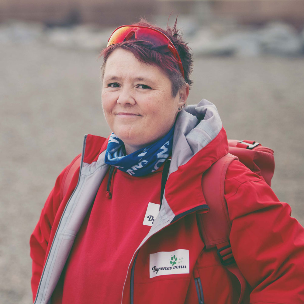 Dansar sig från land till land