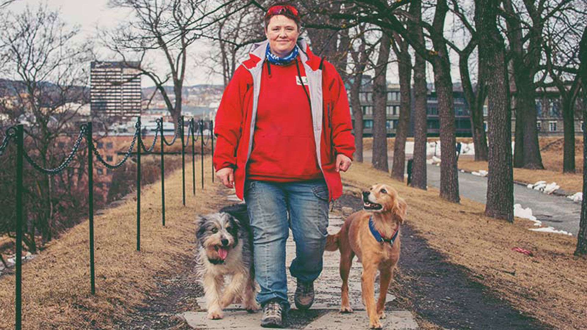 Med hundarna kan Marianne erövra världen