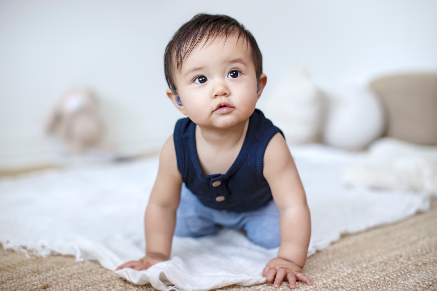 American Academy of Audiology Clinical Guidelines