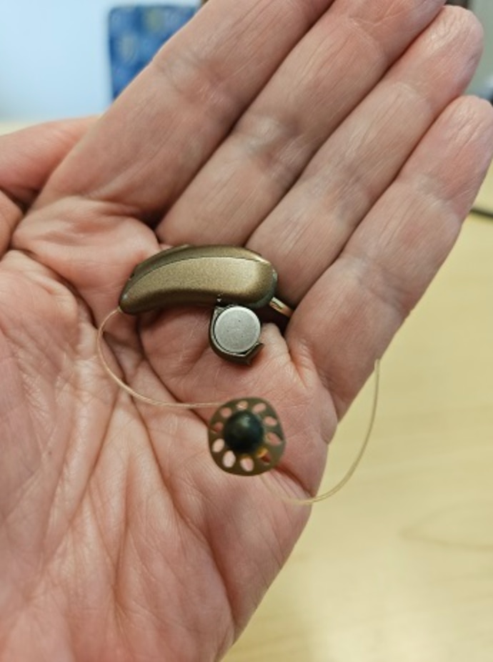 Hearing device remote