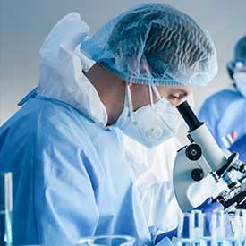 Inner Ear Hair Cell Regeneration Research